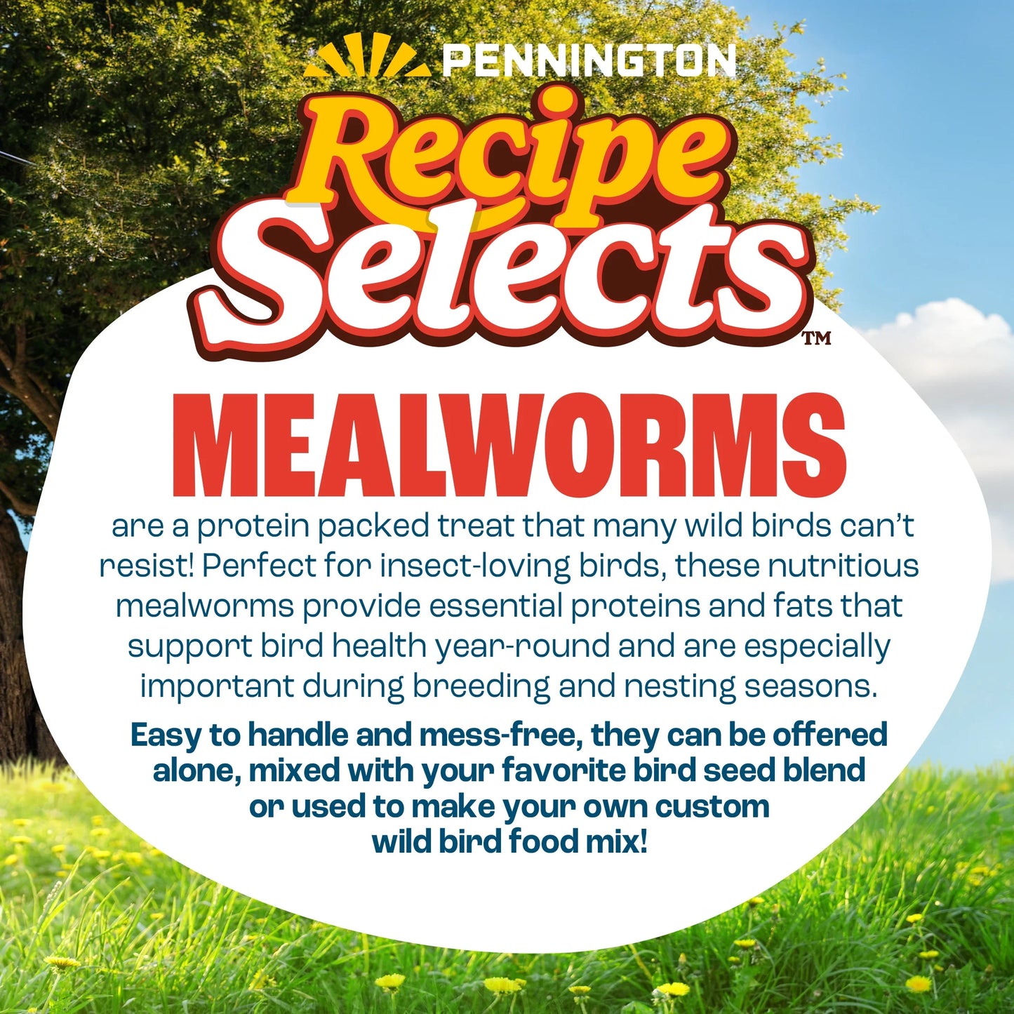(4 Pack) Pennington Recipe Selects Dried Mealworms for Birds, Bluebird and Wild Bird Food for outside Feeder, 17.6 Oz Bag, 1 Pack