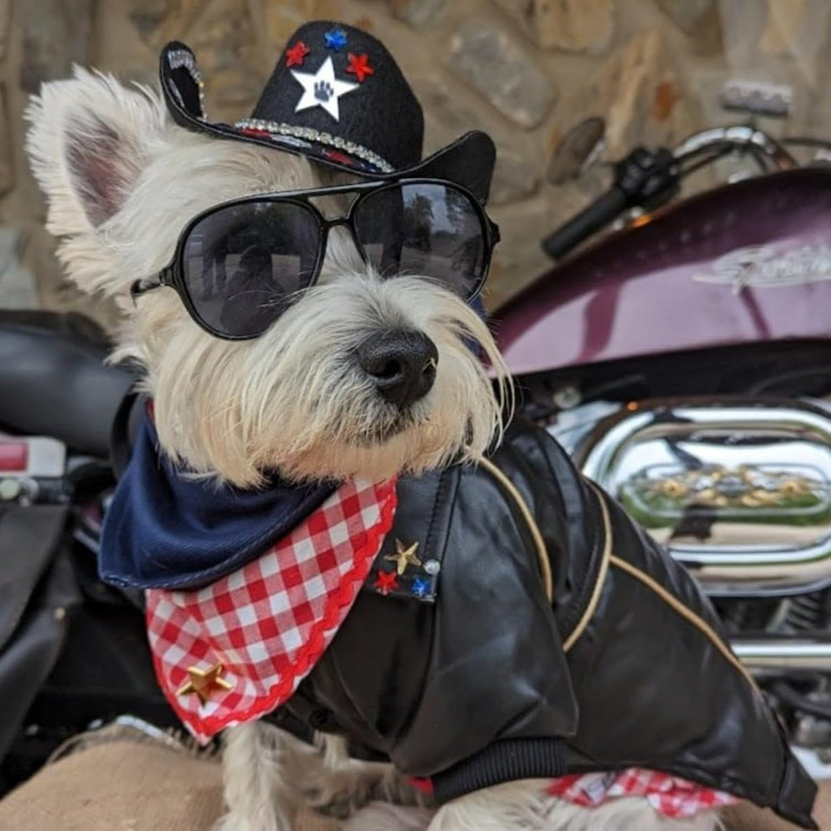 Dog Leather Jacket - Cute Leather Dog Jackets Motorcycle Clothes with Buttons Pet Waterproof Winter Coat for Small Medium Dogs(Black,M)