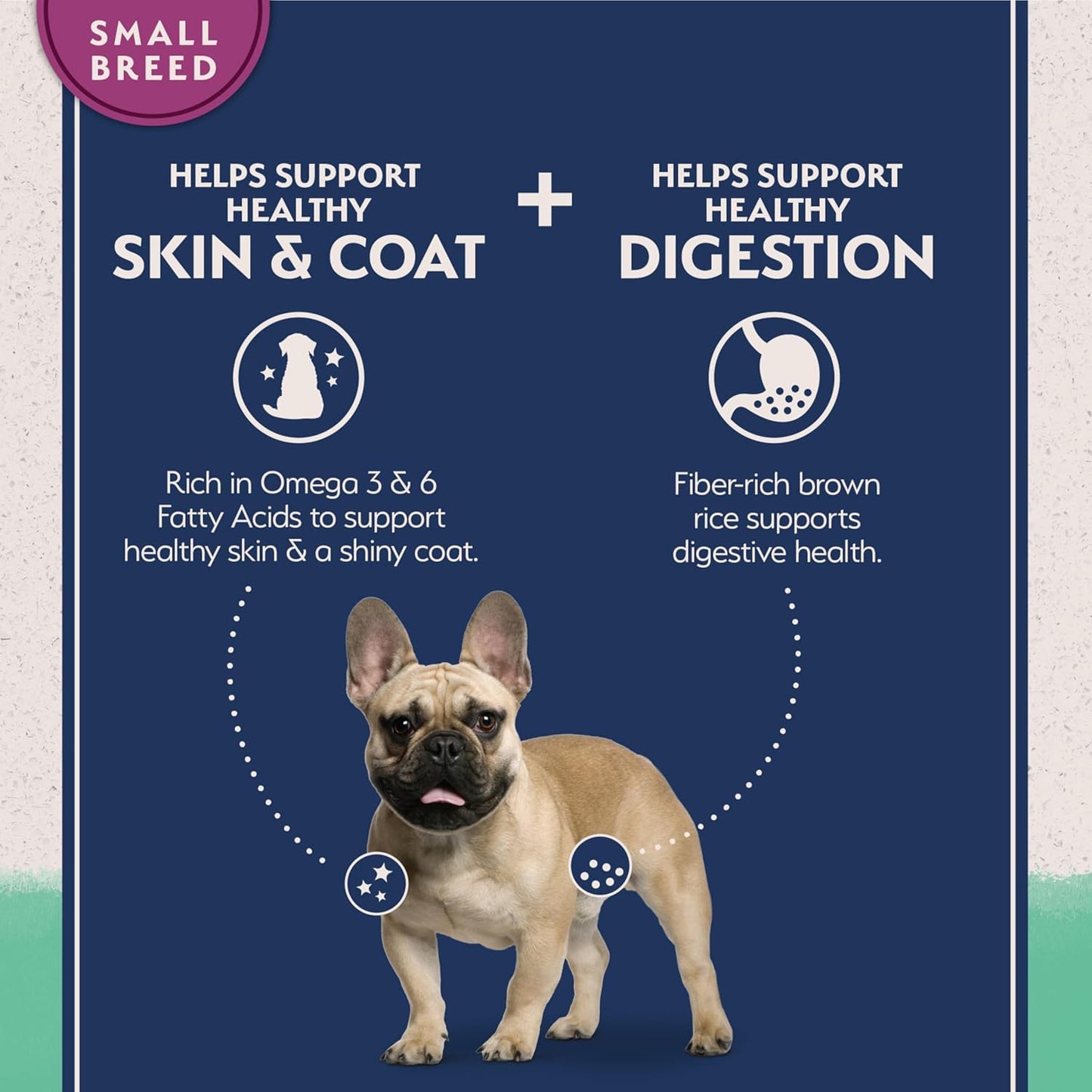 Natural Balance Limited Ingredient Small Breed Adult Grain-Free Dry Dog Food, Chicken & Sweet Potato Recipe, 4 Pound (Pack of 1)