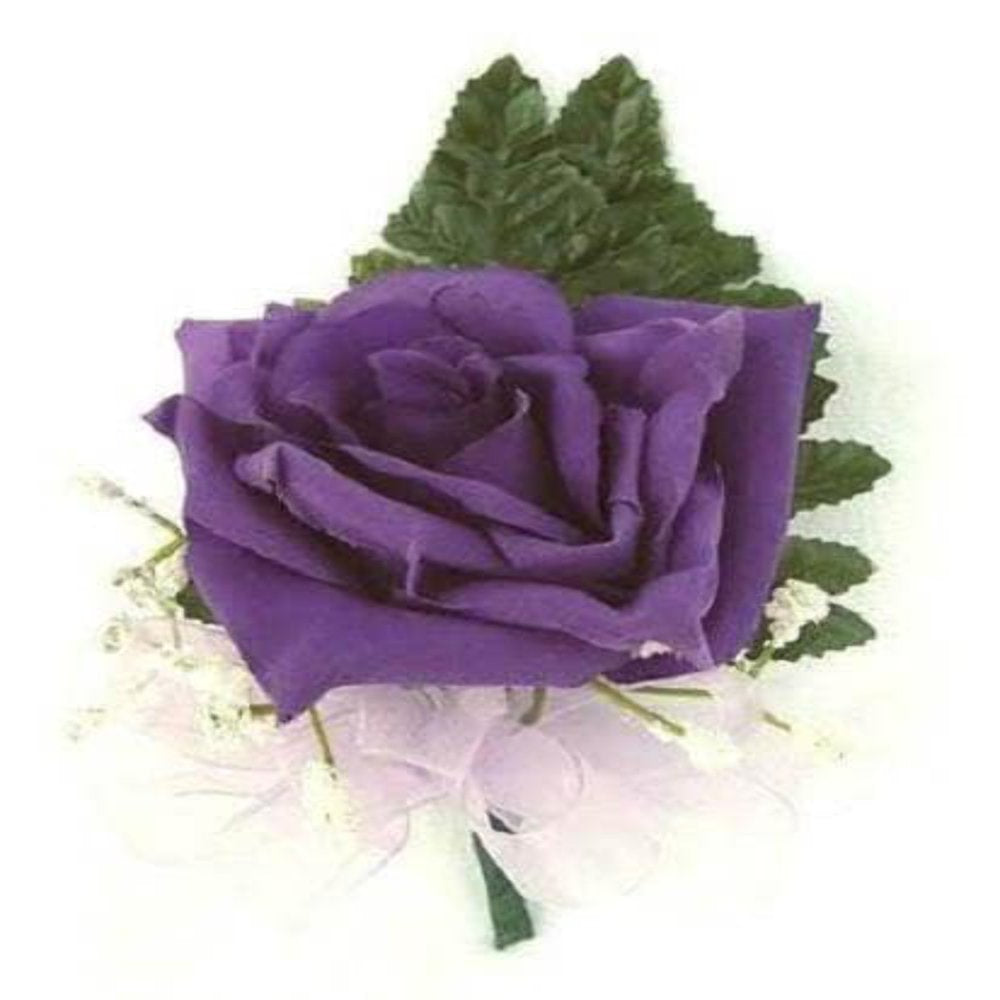 5 * SEEDS * PURPLE ROSE Rosa Floribunda Bush Shrub Perennial Flower Seeds