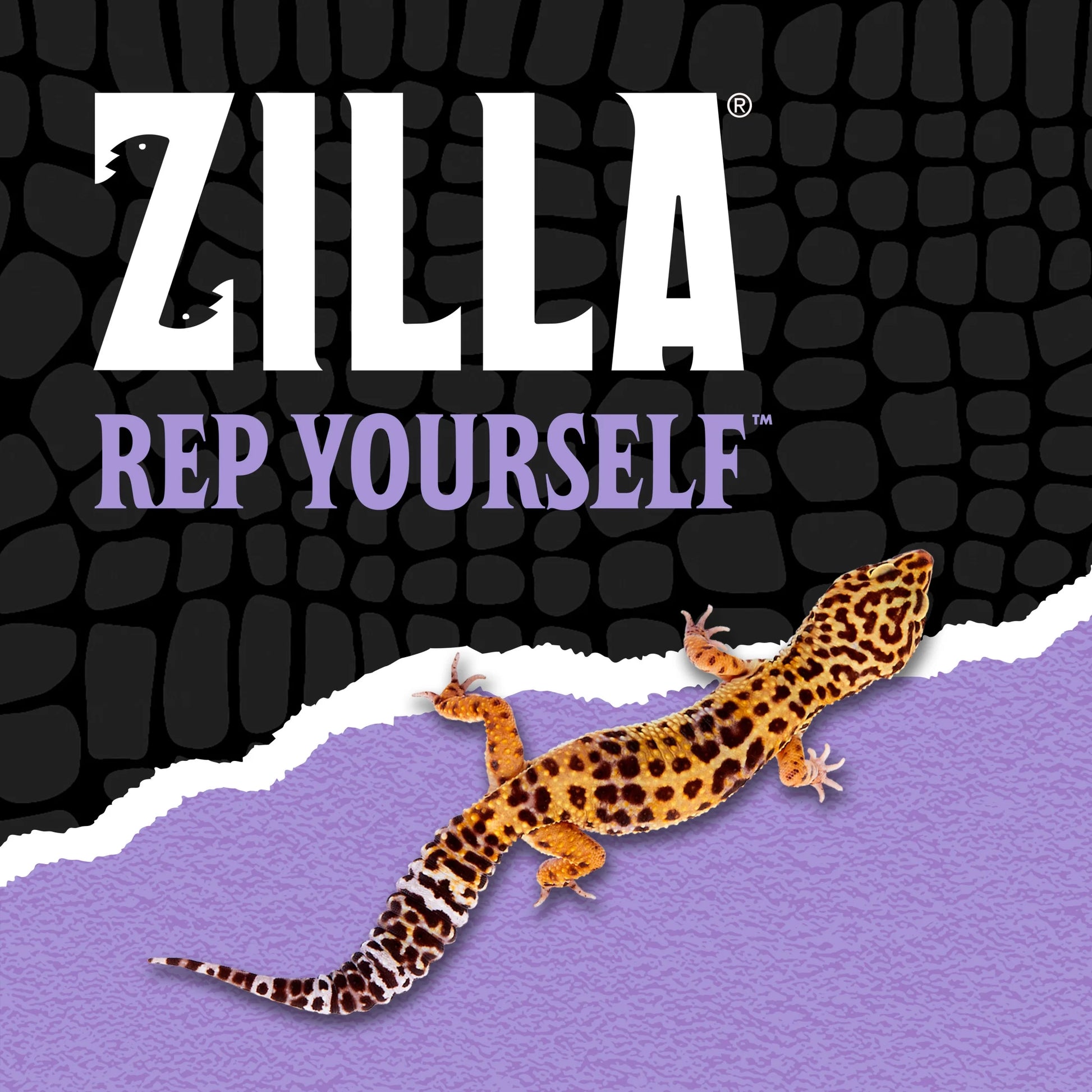 Zilla Reptile Munchies Mealworm Resealable Bag, 3.75 Ounces
