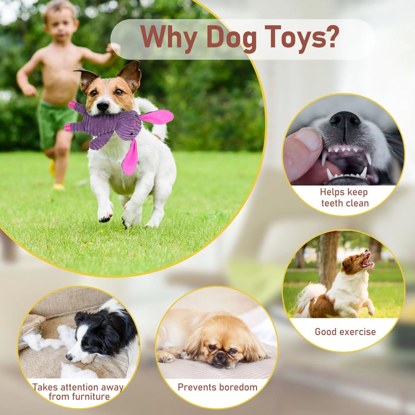 Prime Pets Dog Toys, 5 Pack, Squeaky Plush Dog Chew Toys Gift for Small Medium Large Dogs, Puppy