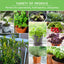 20 Pack Apartment Seed Kit - Heirloom Vegetable Seeds - Container Friendly Part & Full Sun Annuals