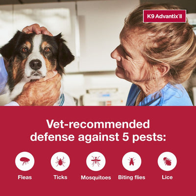 K9 Advantix II Monthly Flea & Tick Prevention for Large Dogs 21-55 Lbs, 2-Monthly Treatment