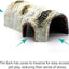 Reptile Hides and Caves Birch Tree Bark Trunk Habitats Decor Aquarium Decoration Wood for Lizard Geckos Snake Spiders Frogs Turtle (Small)