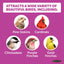 Ultimate 7 Lb. Nut and Fruit Bird Seed Food Blend Wild Bird Seed Mix