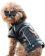 Dog Leather Jacket - Cute Leather Dog Jackets Motorcycle Clothes with Buttons Pet Waterproof Winter Coat for Small Medium Dogs(Black,M)