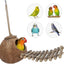 Niteangel Natural Coconut Hideaway with Ladder, Bird and Small Animal Toy (House with Ladder, Natural Surface)