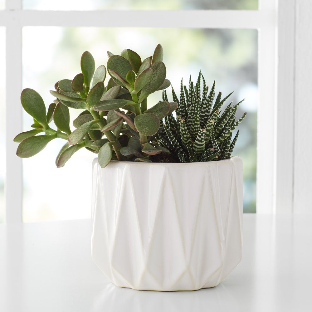 Better Homes & Gardens Pottery 5" Devi round Ceramic Planter, White