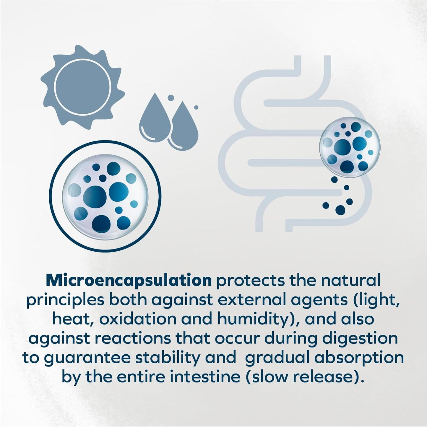 Forza10 - Dog Food, Vet Formulated Wet Dog Food for Kidney Support, Non-Gmo, Lamb Flavor, Made in Italy (3.5 Oz, 32 Pack)