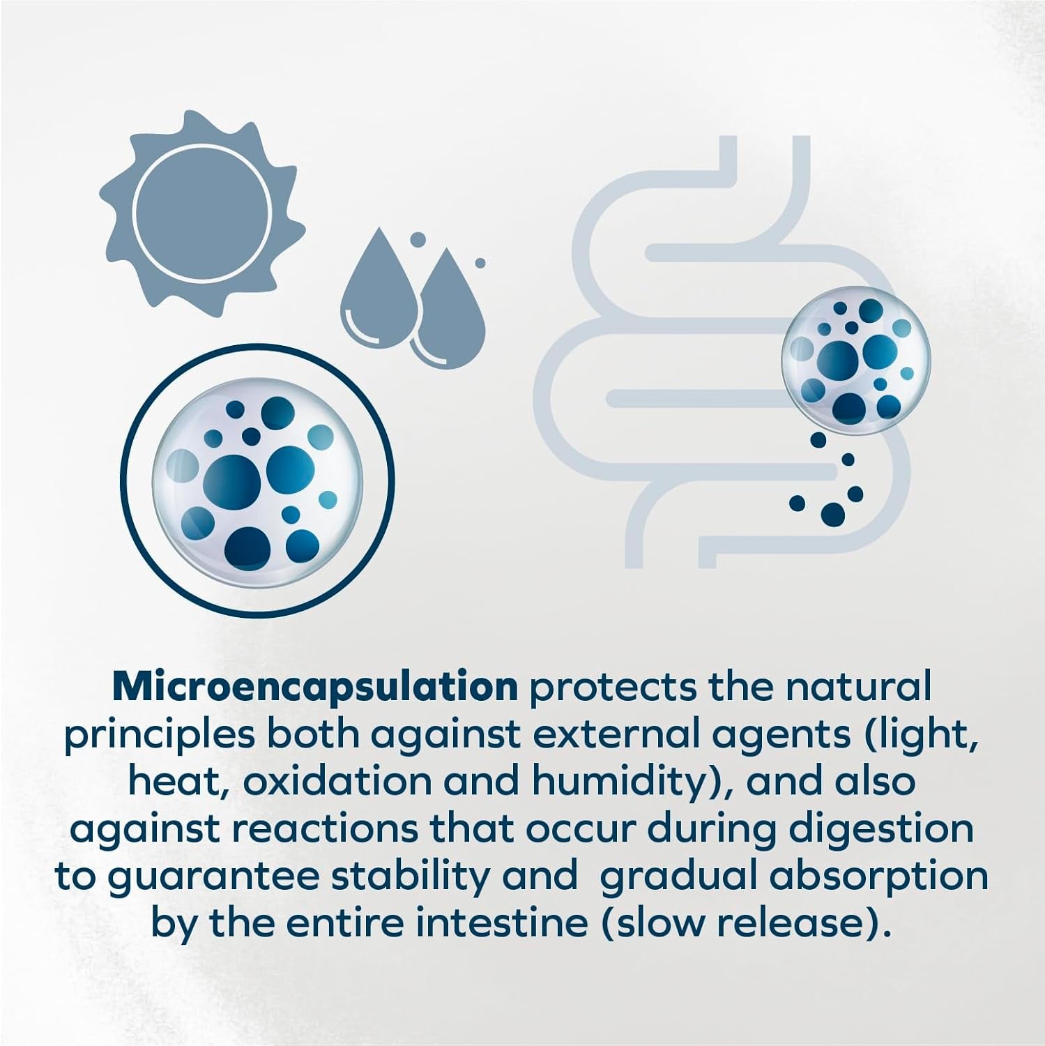 Forza10 - Dog Food, Vet Formulated Wet Dog Food for Kidney Support, Non-Gmo, Lamb Flavor, Made in Italy (3.5 Oz, 32 Pack)