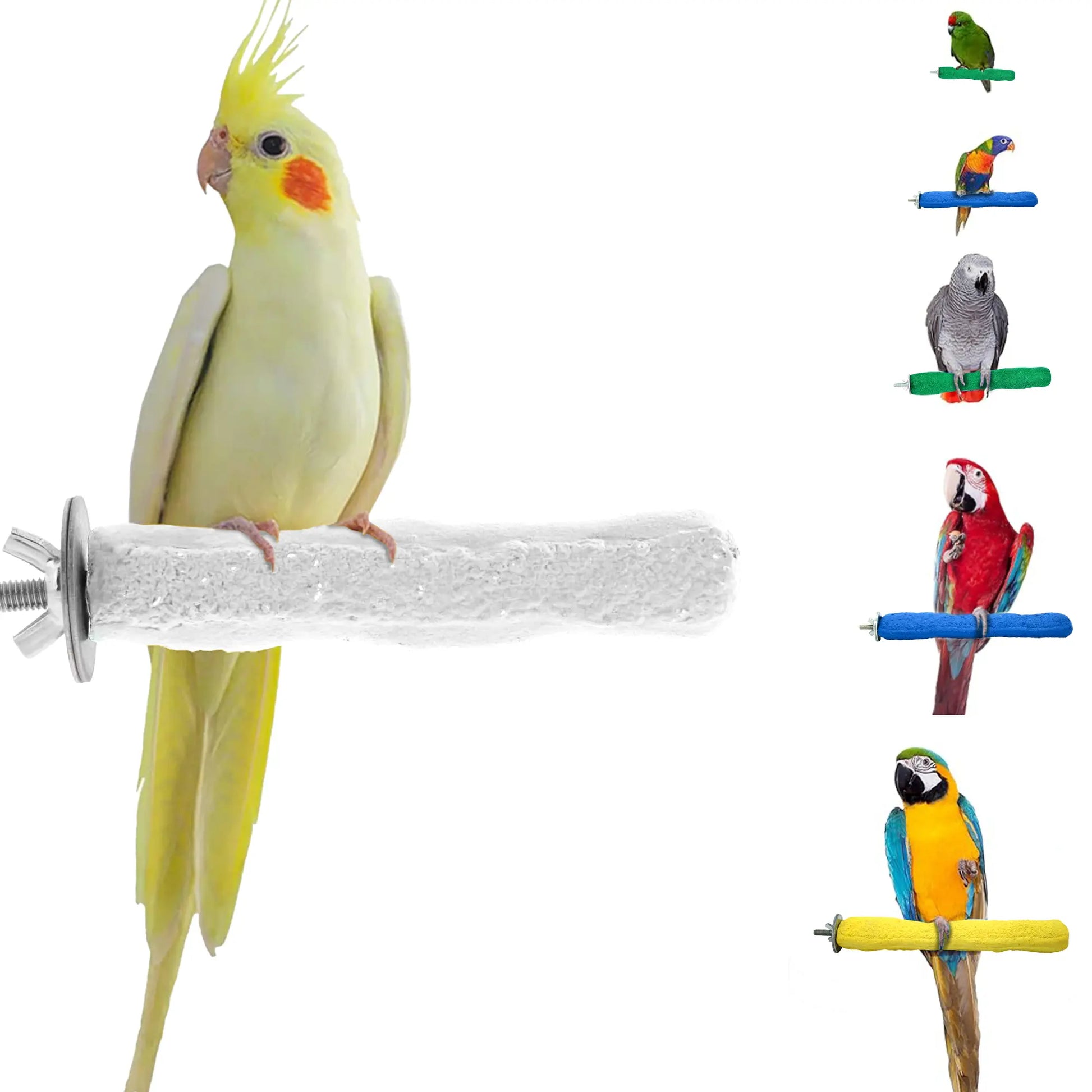 Comfort Grip Safety Perch for Bird Cages - Pedicure Perch for Healthy Nails & Beaks - Easy to Install Bird Cage Accessories - Small, 6.5"