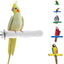 Comfort Grip Safety Perch for Bird Cages - Pedicure Perch for Healthy Nails & Beaks - Easy to Install Bird Cage Accessories - Small, 6.5"