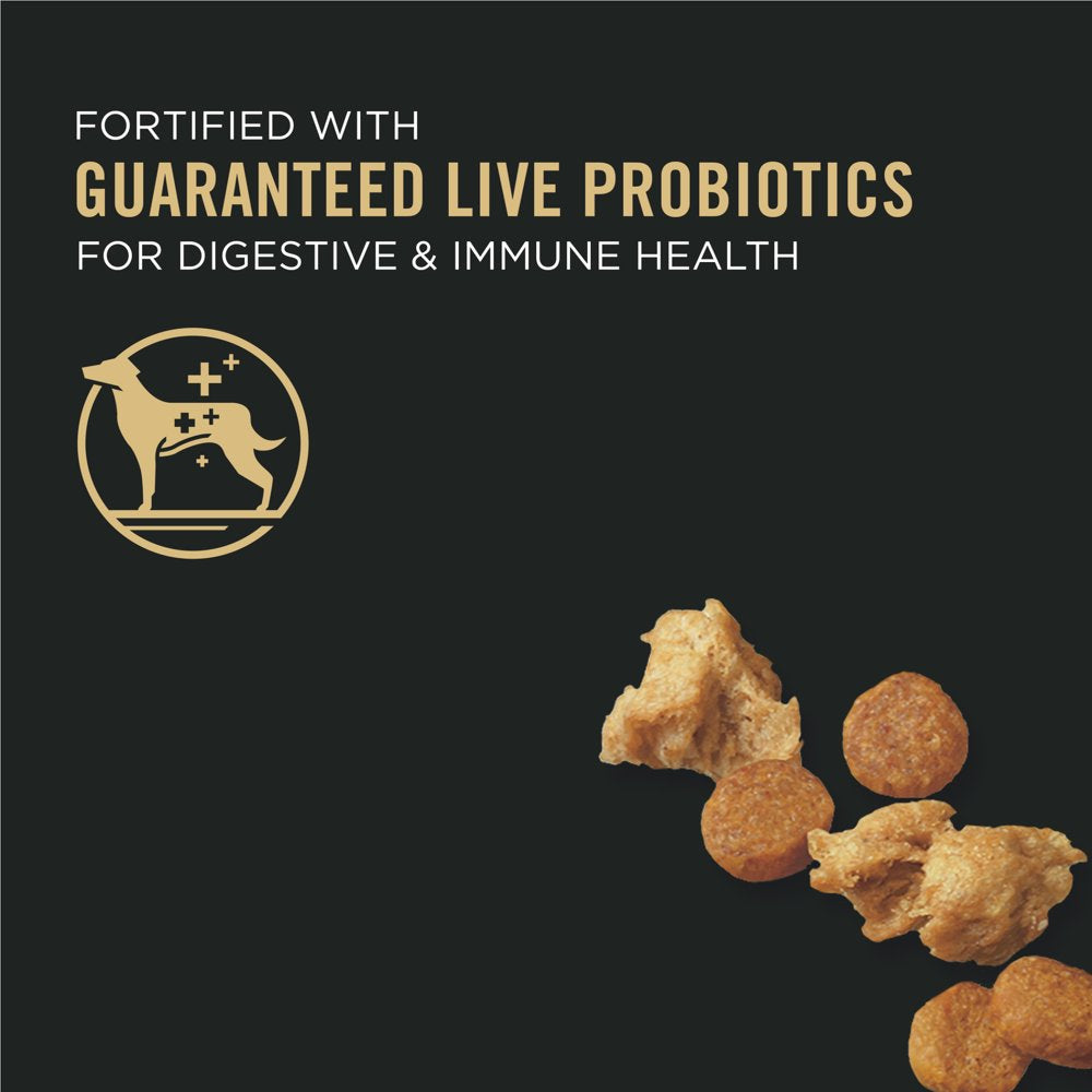 Purina Pro Plan High Protein Puppy Food Shredded Blend Chicken & Rice Formula, 6 Lb. Bag
