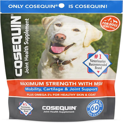 Cosequin Maximum Strength Joint Health Supplement with MSM and Omega-3S Fish Oil Treatment for Dogs