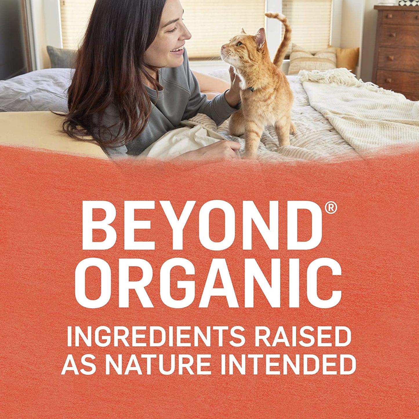 New! Purina beyond Organic High Protein Wet Cat Food