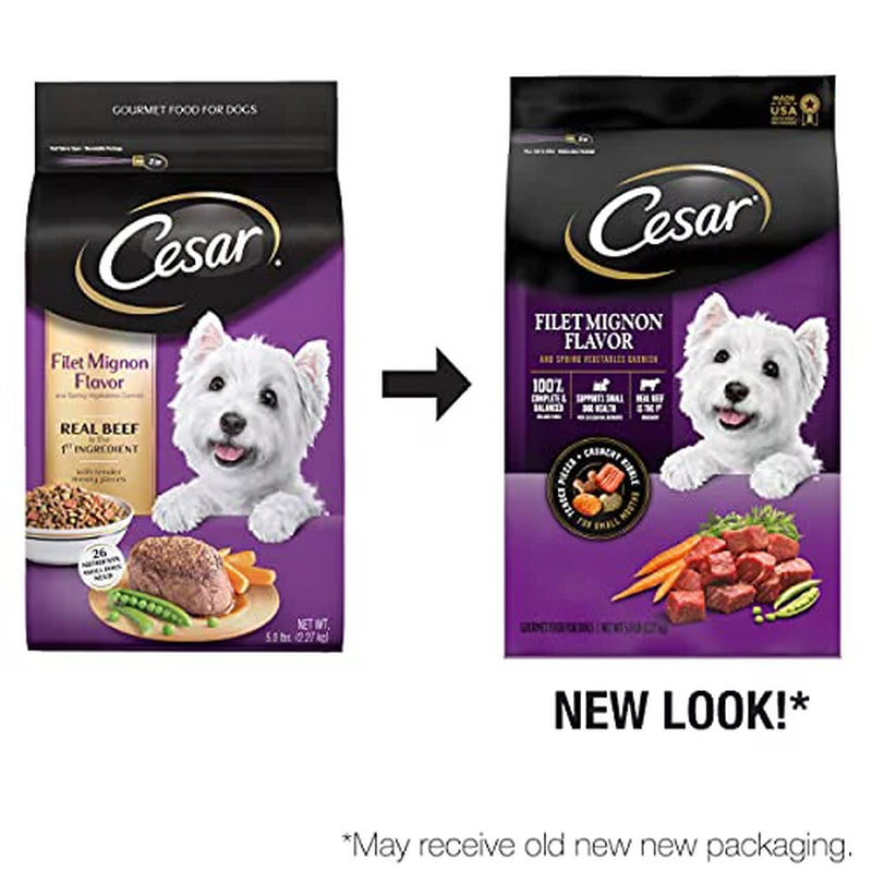 CESAR Filet Mignon with Spring Vegetables Garnish Dry Dog Food for Small Breed Dog, 5 Lb. Bag