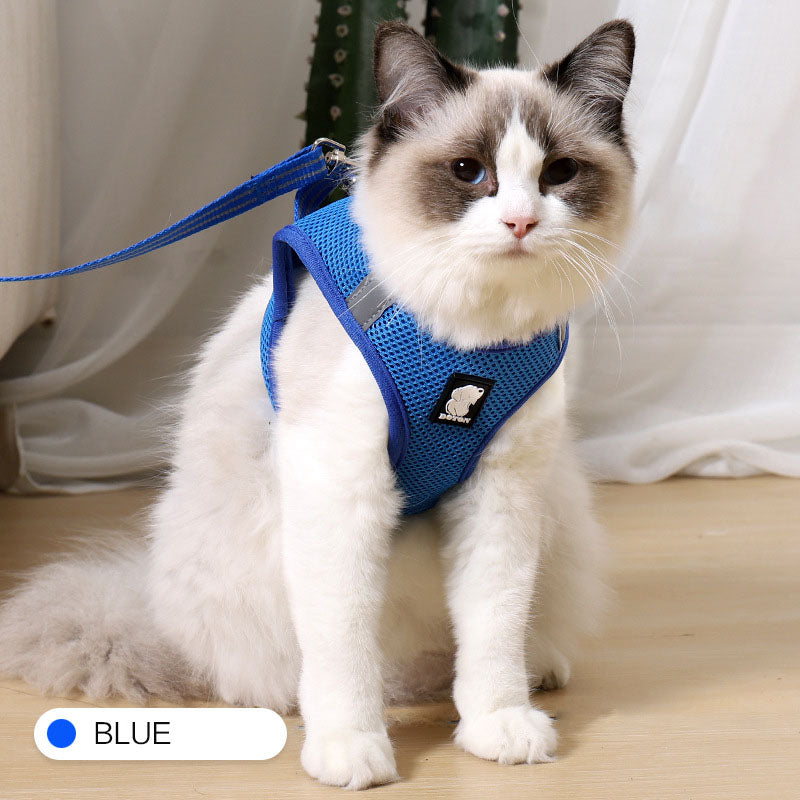 Anti-strike cat traction cat harness
