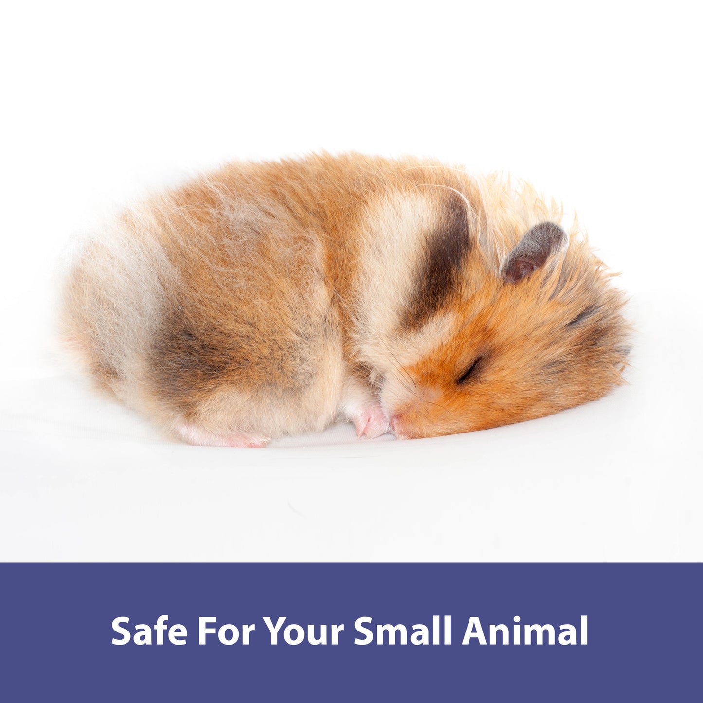 Kaytee Forti-Diet Clean Comfort Small Pet Bedding, Natural 24.6 Liters