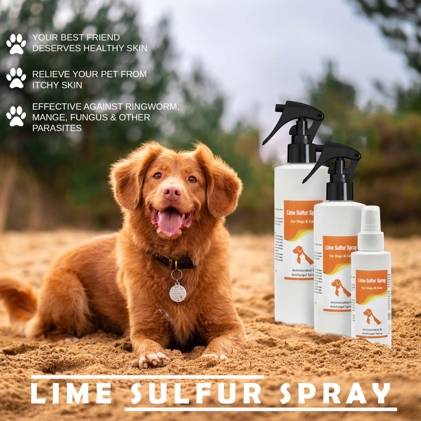 Classic's Lime Sulfur Pet Shampoo (8 oz) and Spray (8 oz)