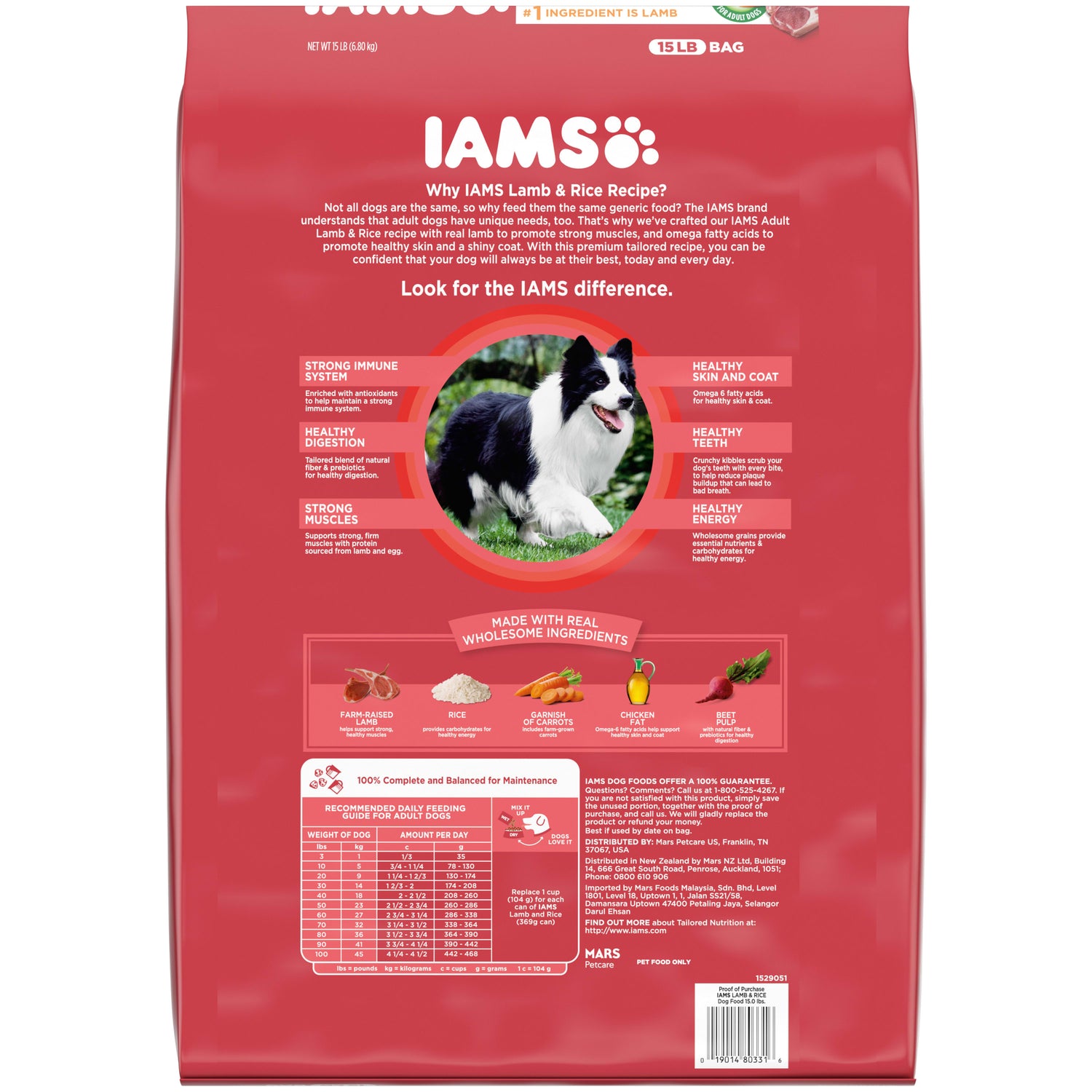 IAMS Minichunks Lamb & Rice Dry Dog Food for Adult Dog, 15 Lb. Bag