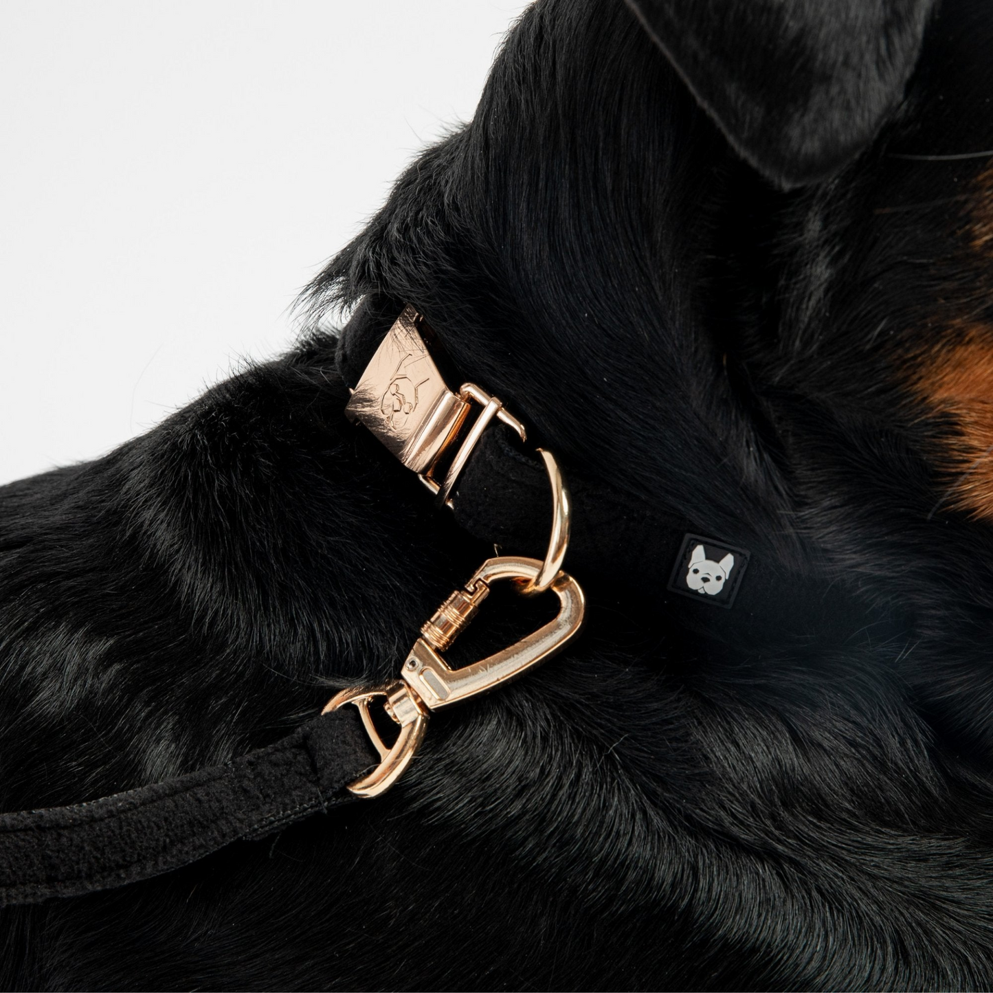 Aquafleece Dog Collar - Black