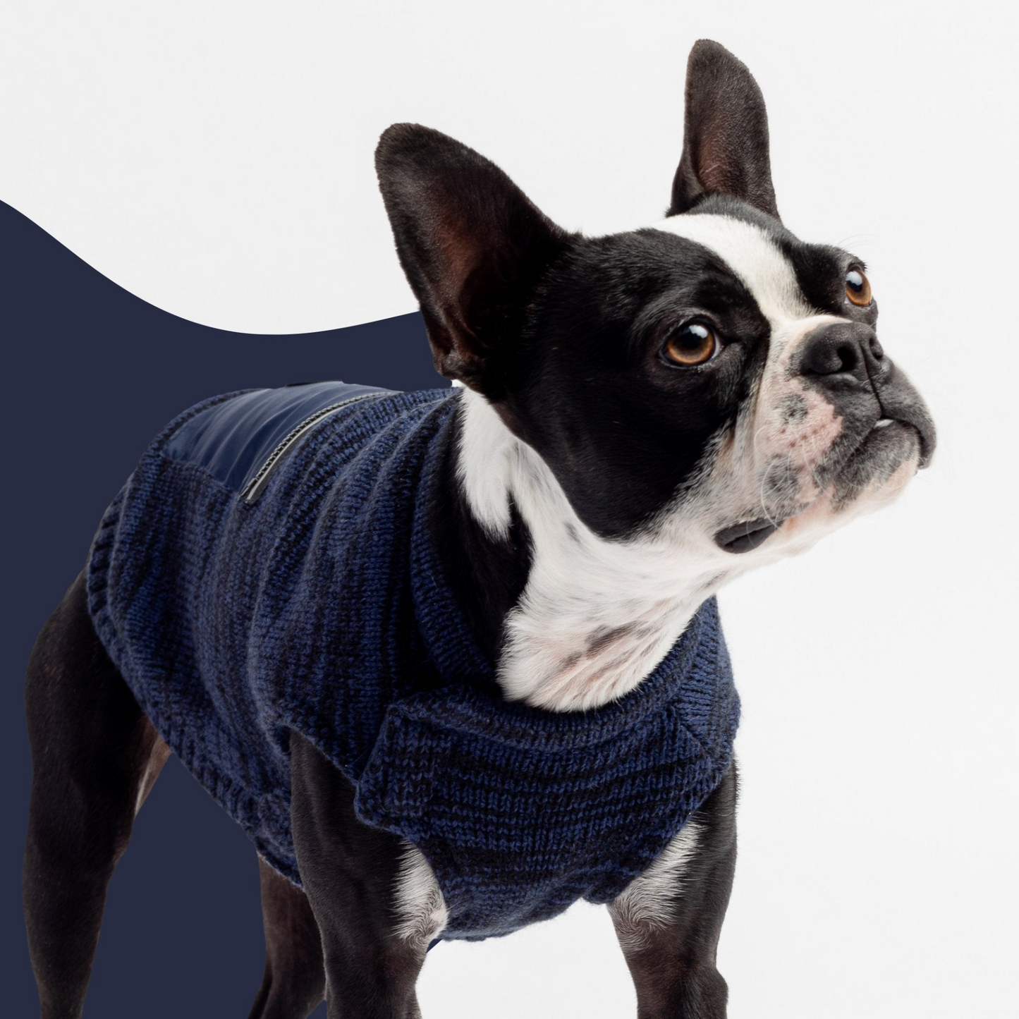 Mia Dog Sweater - Blue
