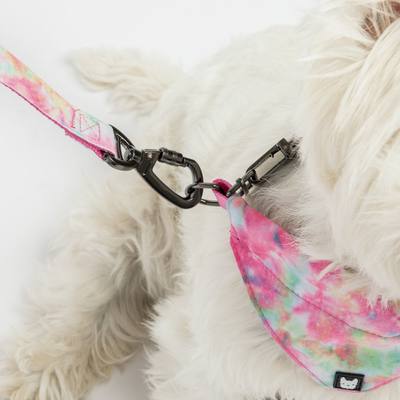 Poplin Dog Leash - Pink Tie Dye