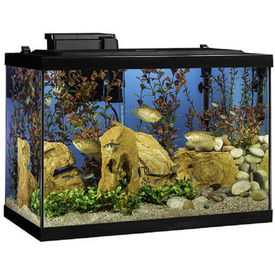 Tetra 20-Gallon LED Glass Aquarium Starter Kit with Filter, Heater & Plants