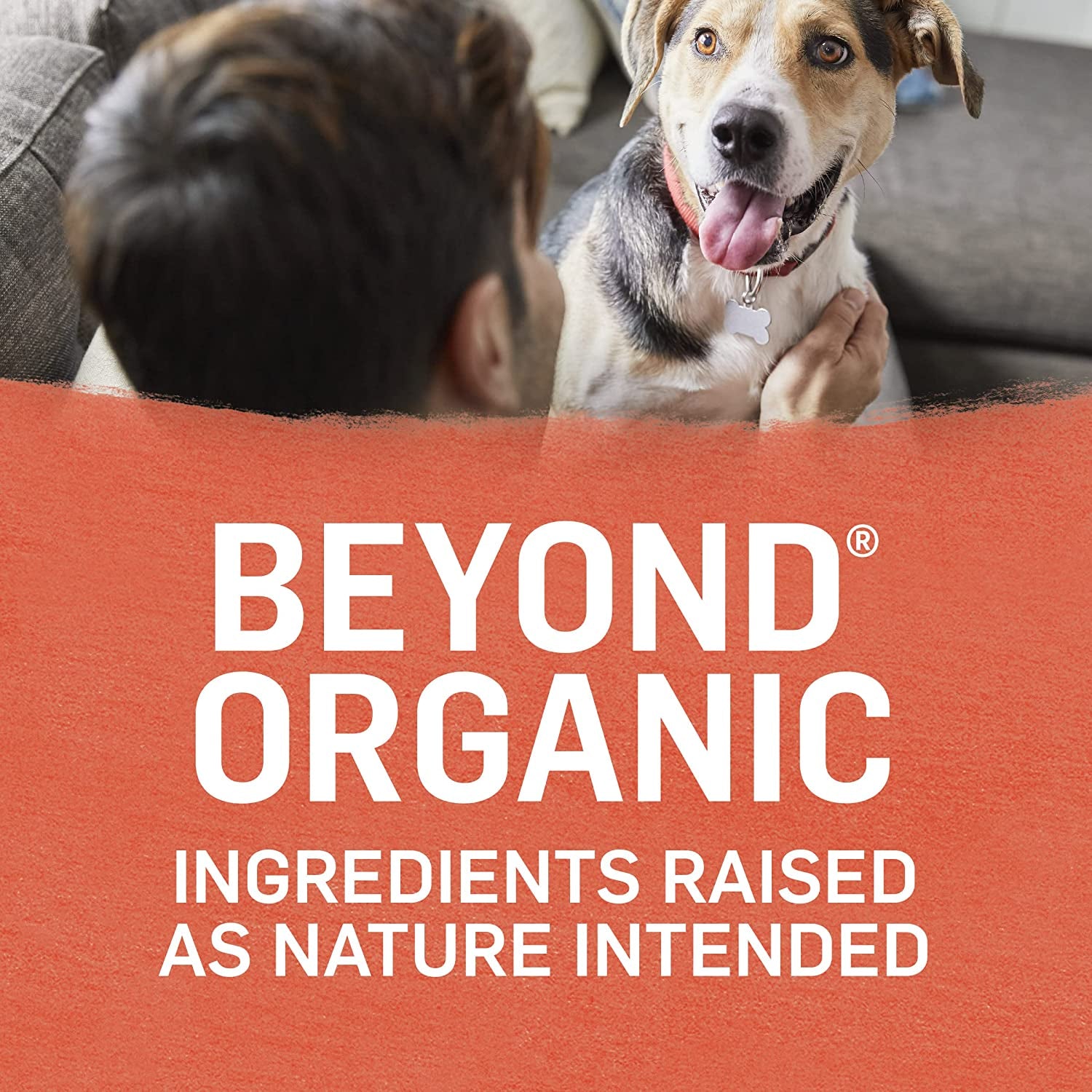New! Purina beyond Organic High Protein Dry Dog Food & Wet Dog Food