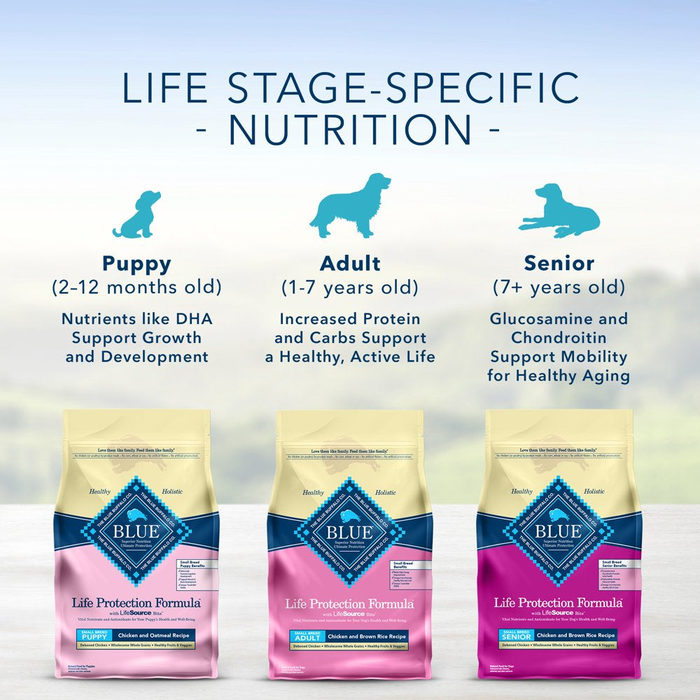 Blue Buffalo Life Protection Formula Small Breed Chicken and Brown Rice Dry Dog Food for Senior Dogs, Whole Grain, 5 Lb. Bag
