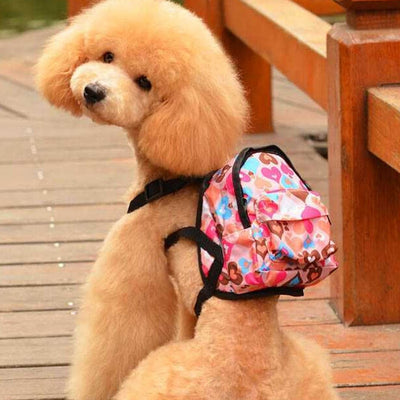 Leash for pet dog bag