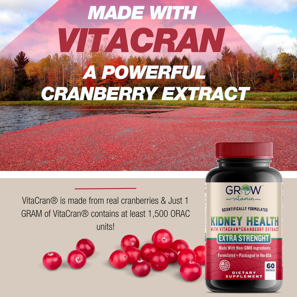 Kidney Health Support Supplement by Grow Vitamin (Kidney Cleanse Supplement) Supports Urinary Tract and Bladder Health, Organic Cranberry Extract, Astragalus and Uva Ursi Leaf - 60 Caps