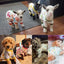 4 Pieces Puppy Dog Onesies Pet Dog Pajamas Cute Pet Clothes Dog Jumpsuit Puppy Soft Bodysuits for Summer PET Dog Cat, 4 Styles (Assorted Animals,Medium)