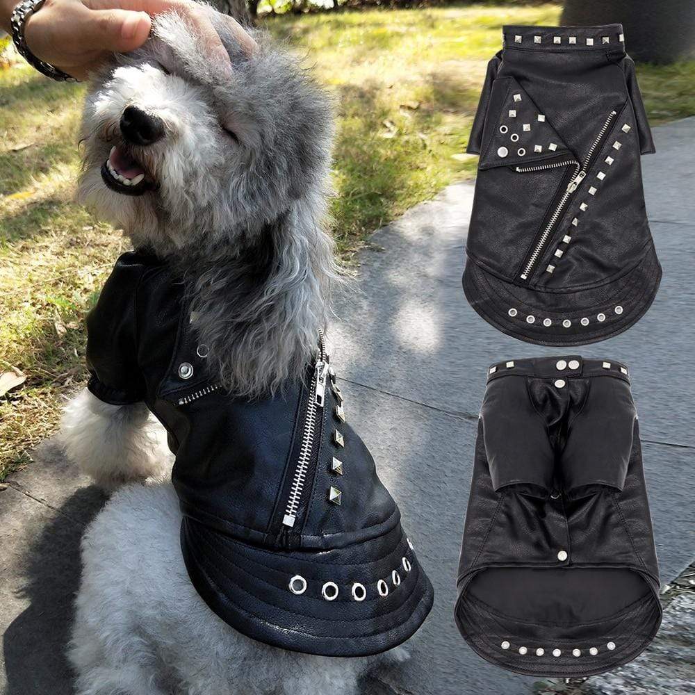 Studded Dog Leather Jacket