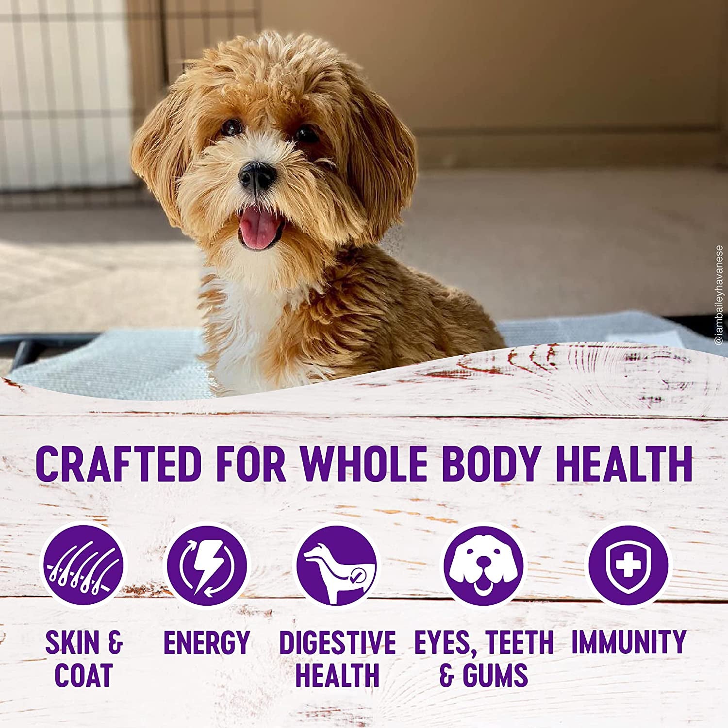 Wellness Complete Health Small Breed Dry Dog Food with Grains, Natural Ingredients, Made in USA with Real Turkey, for Dogs up to 25 Lbs, (Adult, Turkey & Oatmeal, 4-Pound Bag)