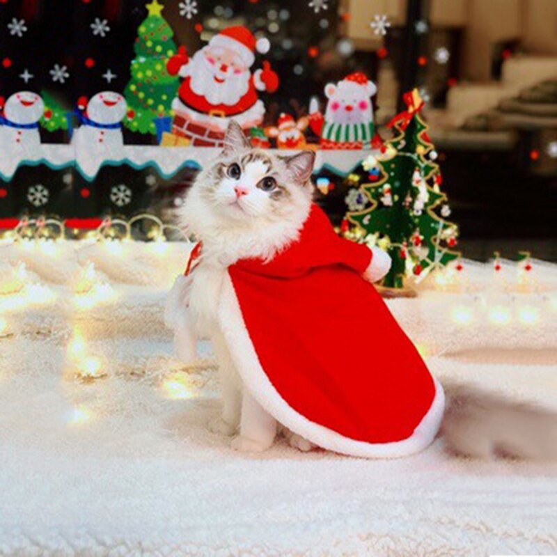 Christmas turned into funny cat clothes cloak