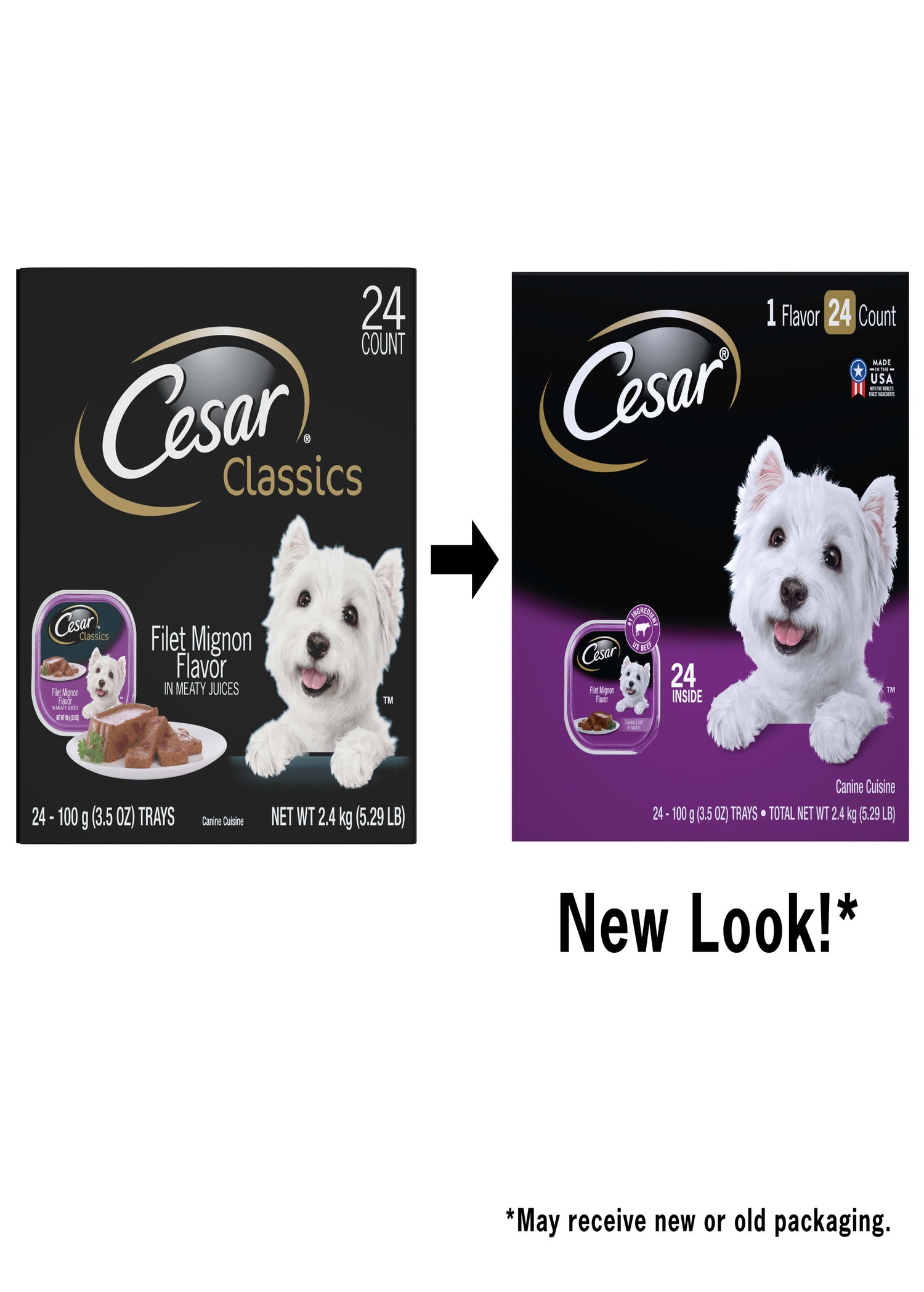 CESAR Classic Loaf in Sauce Filet Mignon Wet Dog Food Multipack, (24 Pack) 3.5 Oz.Trays