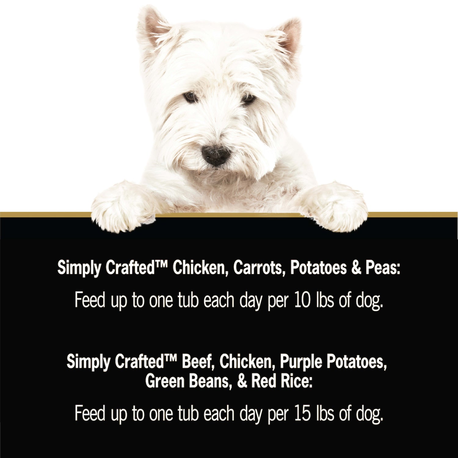 CESAR Simply Crafted Chicken & Beef Wet Dog Food Variety Pack, (8 Pack) 1.3 Oz. Tubs