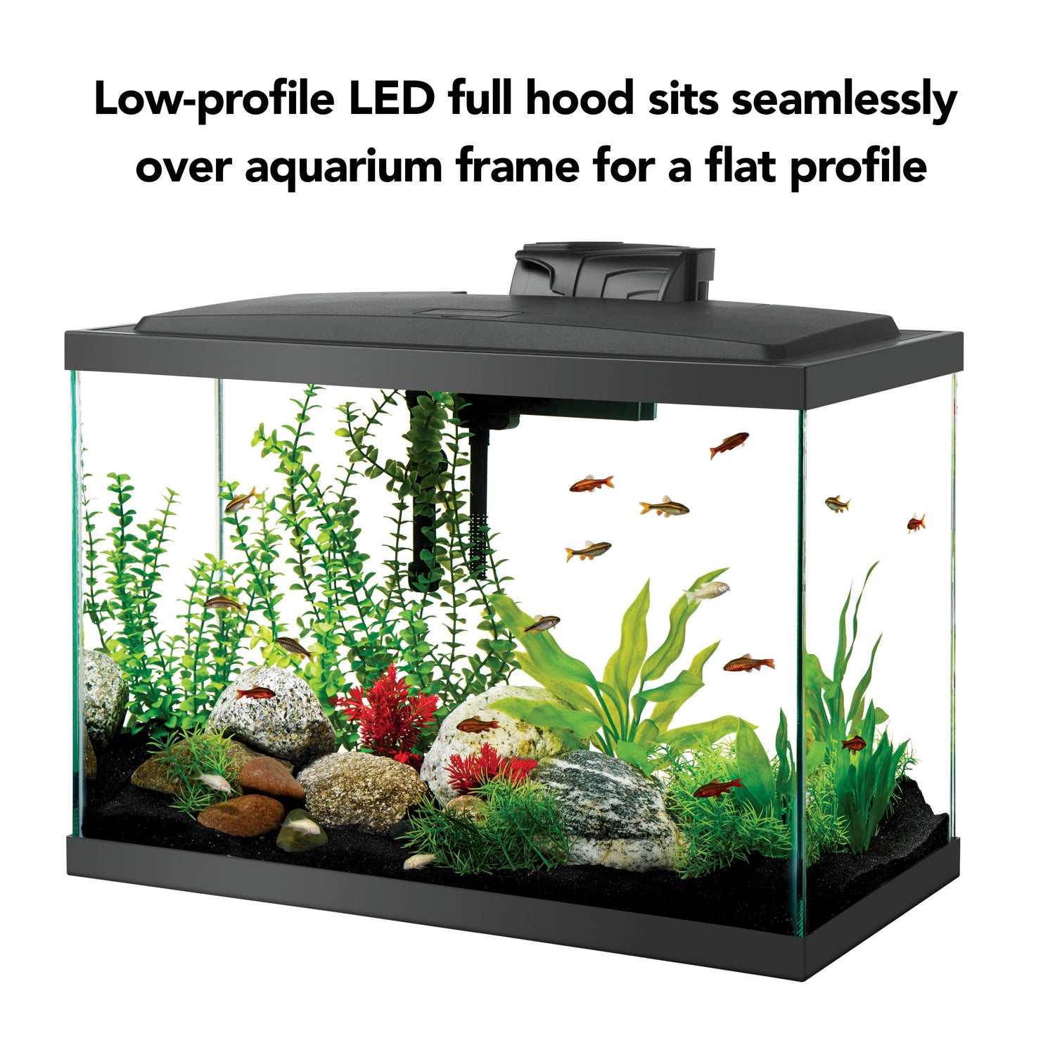 Aqueon Aquarium Starter Kit with LED Lighting 20 High