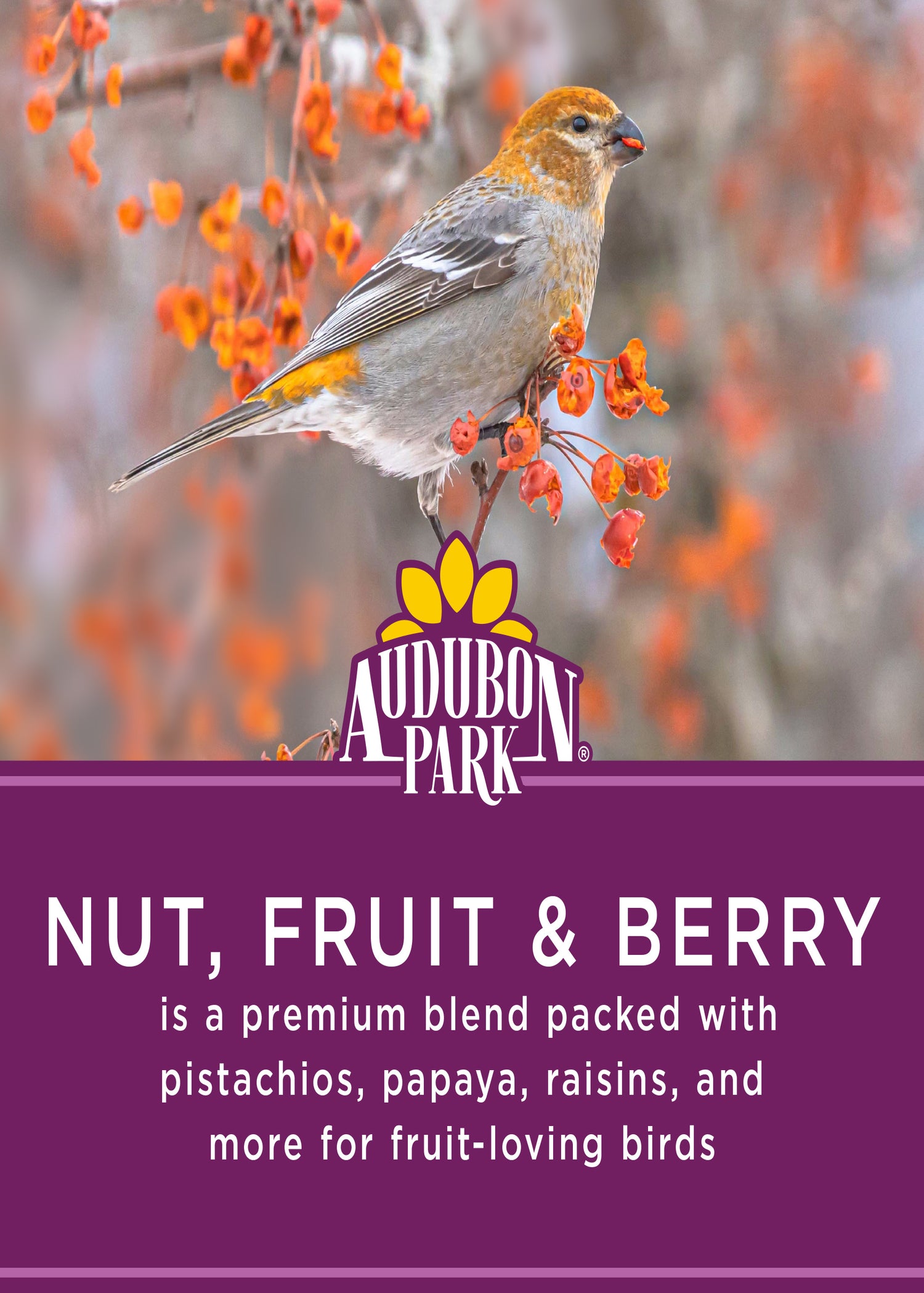 Audubon Park Nut, Fruit & Berry Wild Bird Food, New, 15 Lbs.