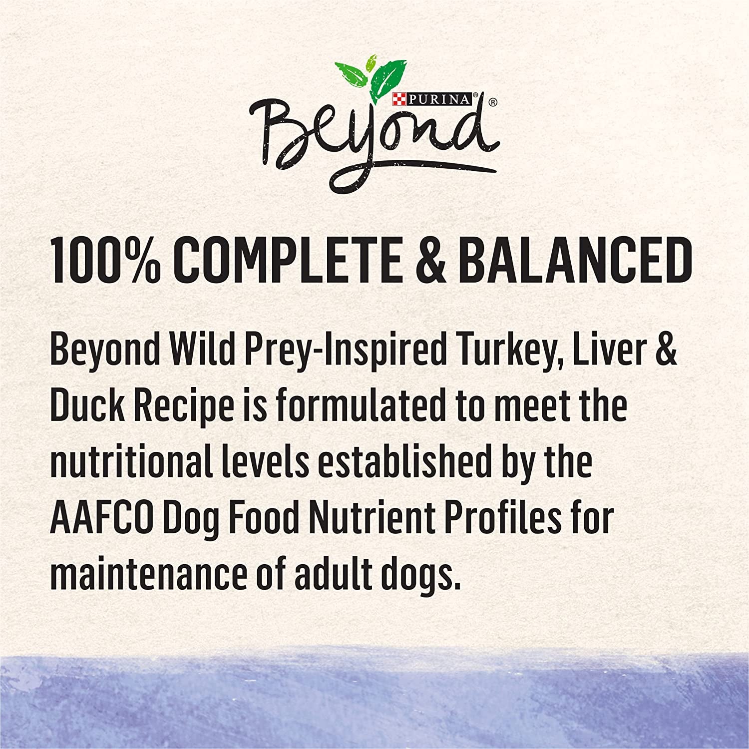 Purina beyond High Protein, Grain Free, Natural Pate Wet Dog Food, WILD Turkey, Liver & Duck Recipe - (12) 13 Oz. Cans