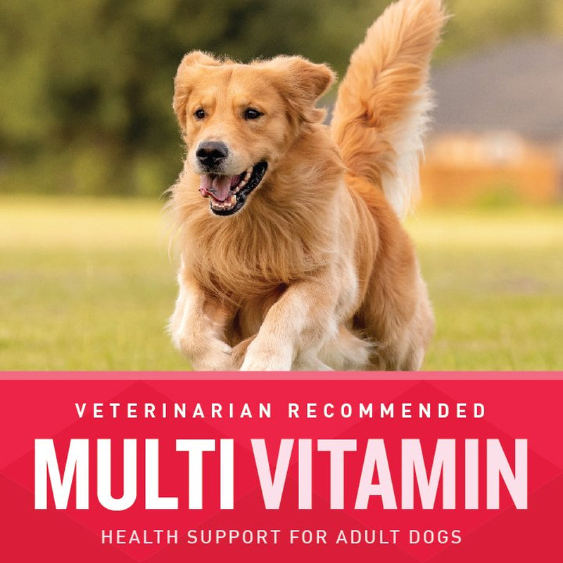 Vetiq Multivitamin Supplement for Dogs, Hickory Smoke Flavored Soft Chews, 60 Count