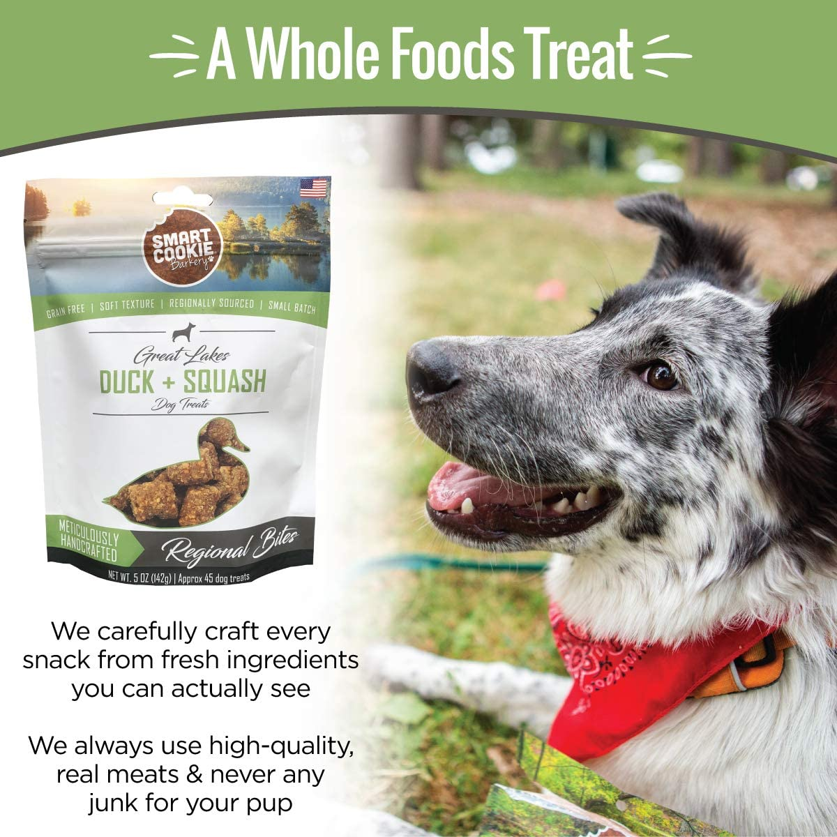All Natural Soft Dog Treats - Limited Ingredient Training Treats for Dogs and Puppies with Allergies or Sensitive Stomachs - Grain-Free, Chewy, Human-Grade - Available in 4 Flavors - 5Oz