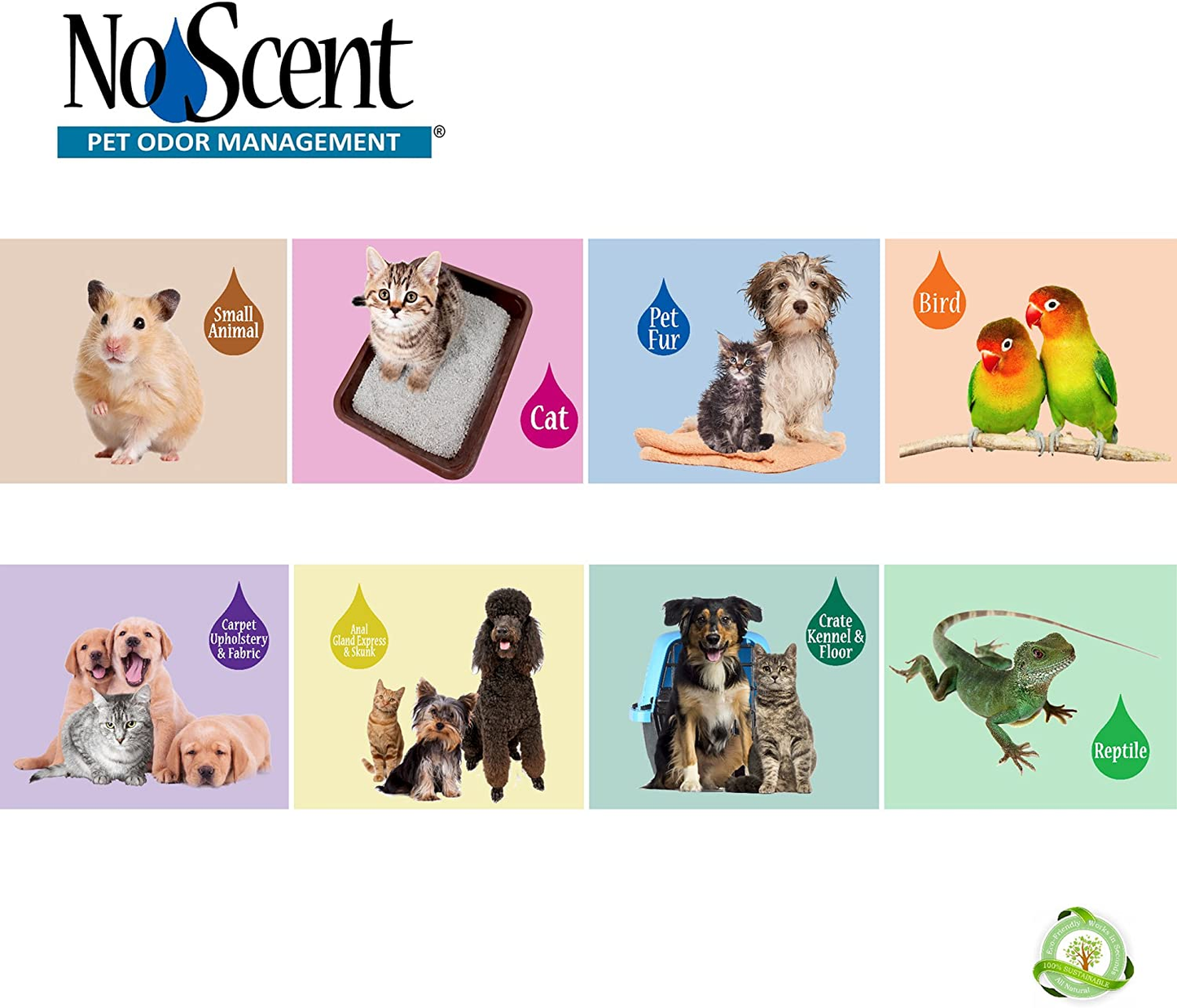 No Scent Bird - Professional Pet Poop Cleaner & Odor Eliminator - Safe All Natural Probiotic & Enzyme Formula Smell Remover for Cages Aviary Perches Nests Toys and Bedding (1 Gal)