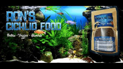 Ron'S Cichlid Fish Food for African Cichlids, Tetras & Other Tropical Fish, Cleaner Tanks, Pellets Made with Real Shrimp & Natural Ingredients