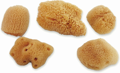 Hermit Crab Real Sea Sponges - 5 Pack Unbleached, Provides Nutrients, Safer Drinking and Helps Maintain Habitat Tank Humidity