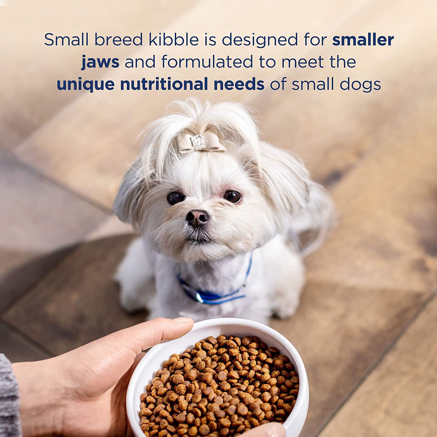 Limited Ingredient Diet | Small-Breed Adult Grain-Free Dry Dog Food | Protein Options Include Salmon, Duck, Chicken or Beef