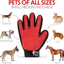 Pet Grooming Glove for Dogs & Cats - Massage & Deshedding Brush with 259 Silicone Tips - Pair of Efficient Pet Hair Remover Mitts for Long & Short Fur - Adjustable One Size Fits All