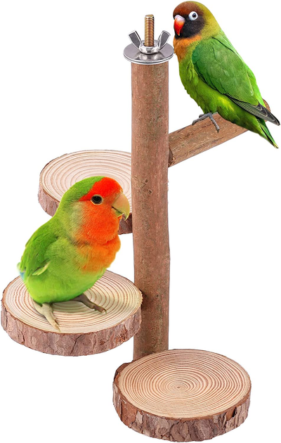 Filhome Bird Perch Stand Toy, Natural Wood Parrot Perch Bird Cage Branch Perch Accessories for Parakeets Cockatiels Conures Macaws Finches Love Birds